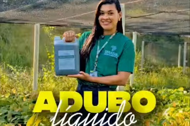 Sustentabilidade na prática: aplicação do nosso adubo líquido no viveiro de cacau