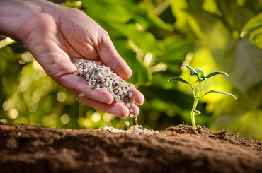 Sustentabilidade na Agricultura: O Potencial dos Fertilizantes de Resíduos