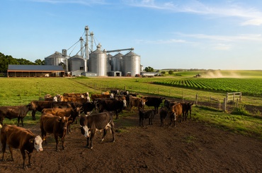Valorização agroindustrial: como resíduos orgânicos podem gerar coprodutos, biofertilizantes e biogás