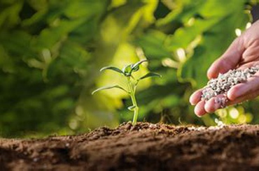 Os Biofertilizantes e o Valor das Sobras na Agricultura Sustentável